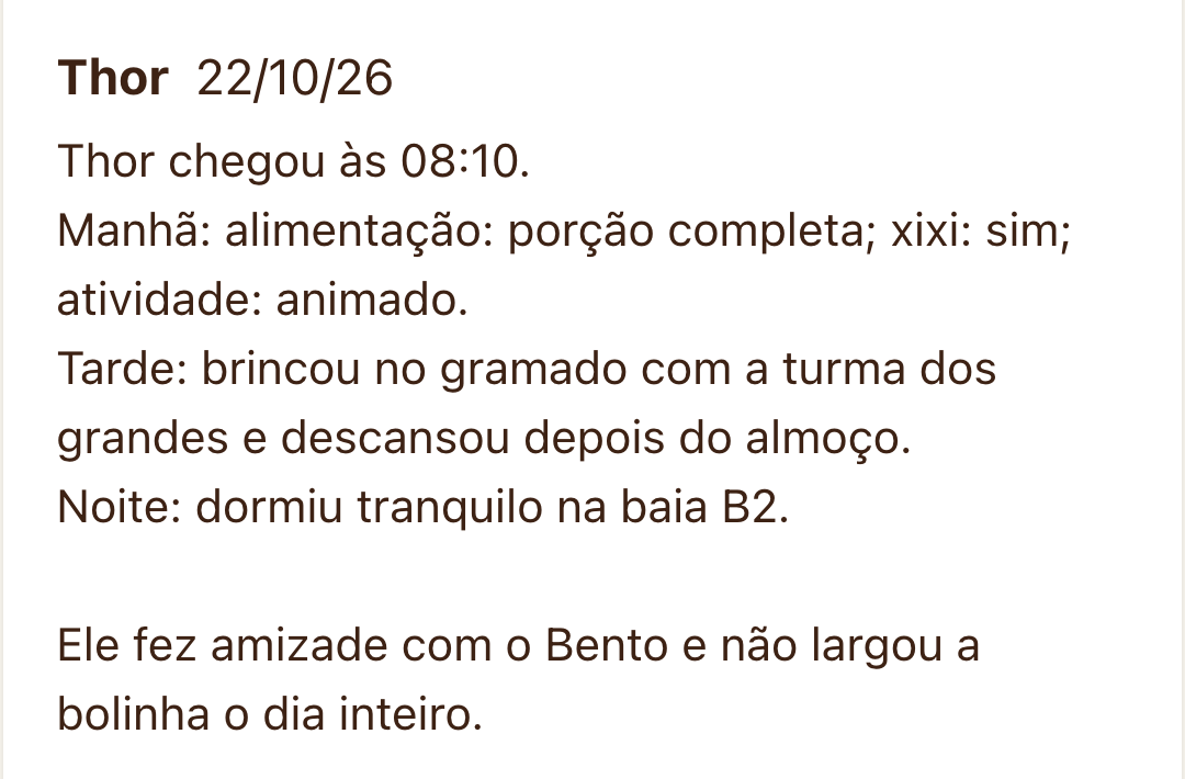 Diário escrito sobre o dia do Thor